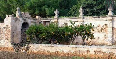 Affacciati sul parcheggio di Polignano i resti di una masseria seicentesca: Starsa Nuova